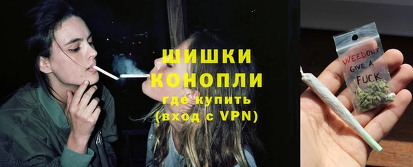 PSILOCYBIN Дмитров
