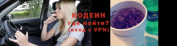 сатива Елабуга