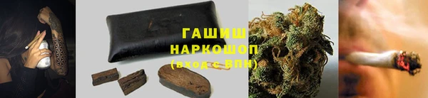 сатива Елабуга