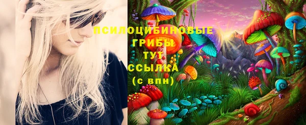 сатива Елабуга