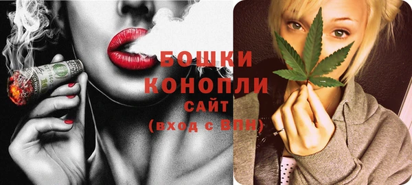 сатива Елабуга