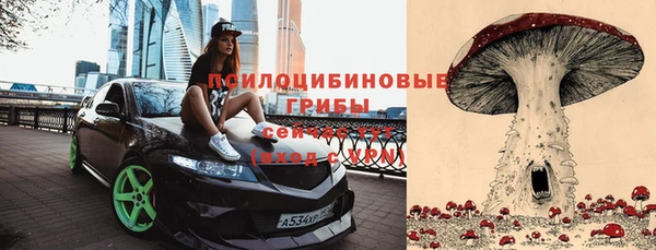 бошки Дмитровск