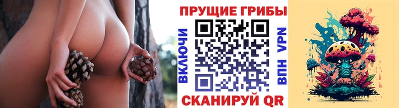 Купить где  Горно-Алтайск  Псилоцибиновые грибы GOLDEN TEACHER 