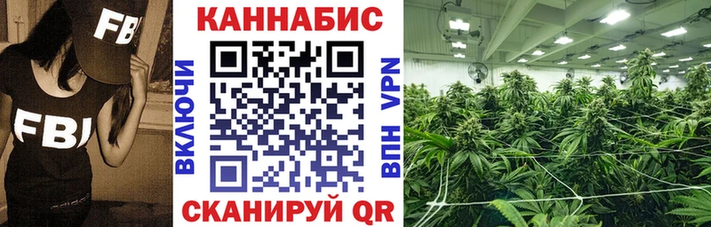 Бошки марихуана VHQ  Купить закладки  Горно-Алтайск 